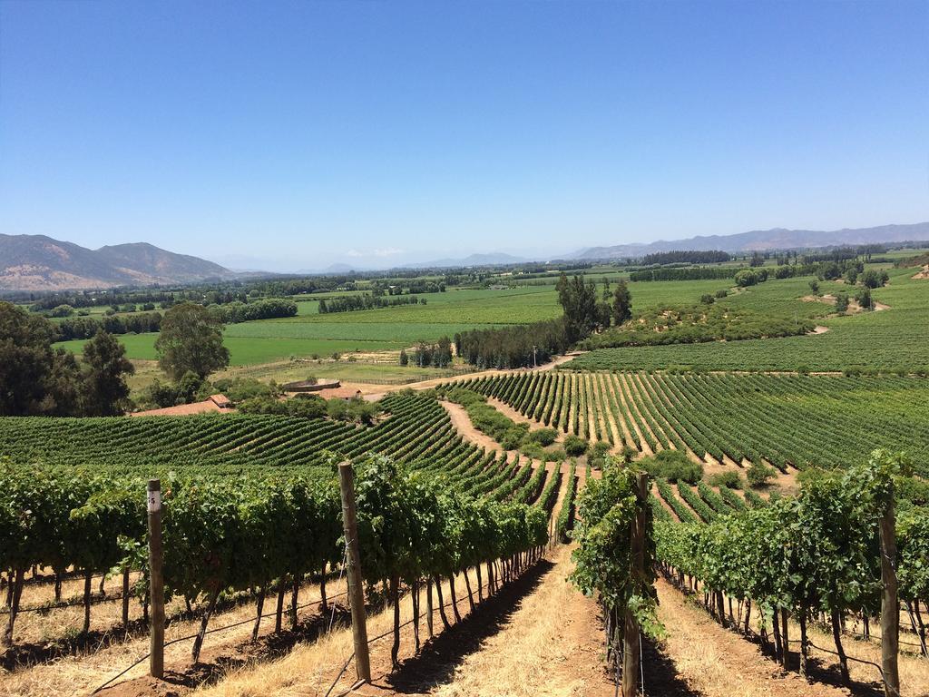 Noi Blend Colchagua Hotel Santa Cruz Bagian luar foto