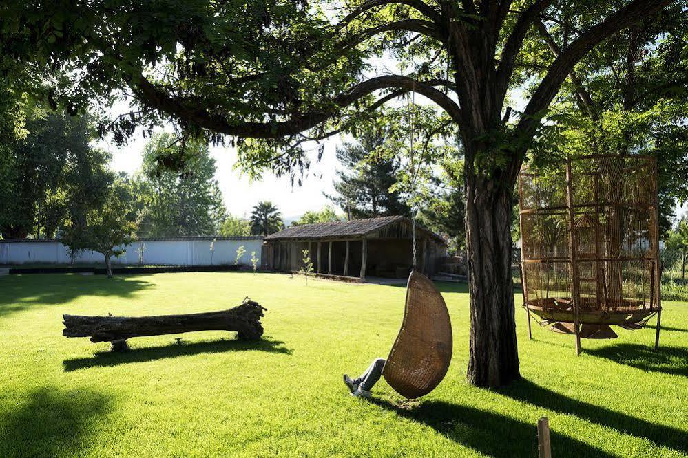 Noi Blend Colchagua Hotel Santa Cruz Bagian luar foto